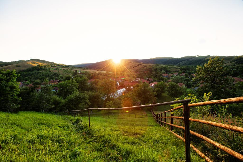 Pensiunea Dor De Casa Pestenita Bagian luar foto